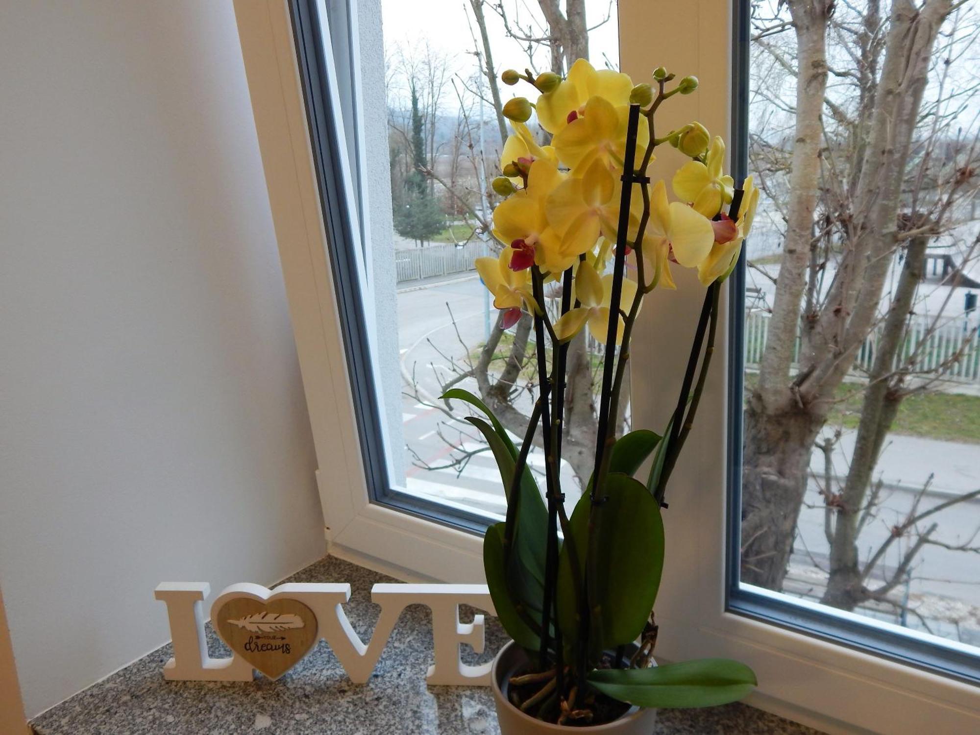 Guesthouse Pr'Sefu Brežice Habitación foto